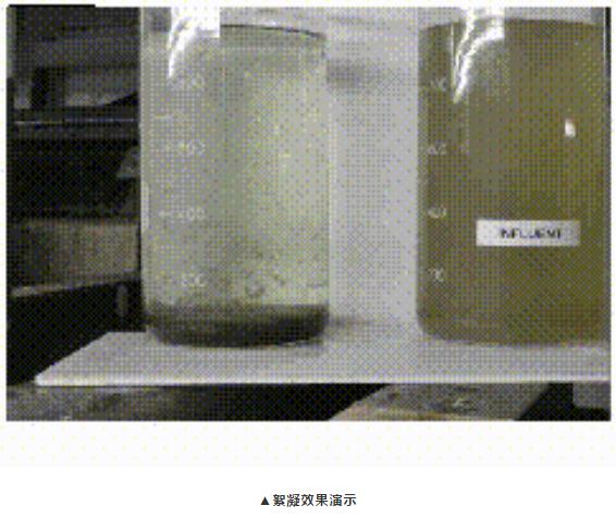 5.絮凝效果演示