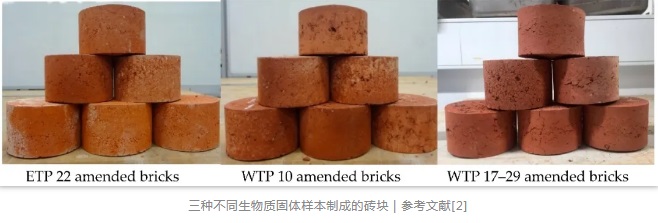 三种不同生物质固体样本制成的砖块