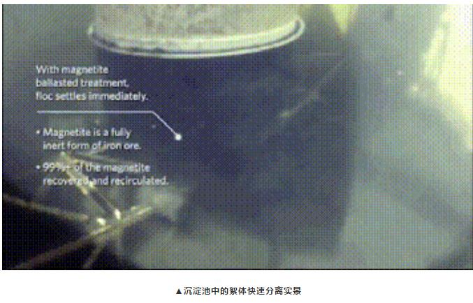 8.沉淀池中的絮体快速分离实景