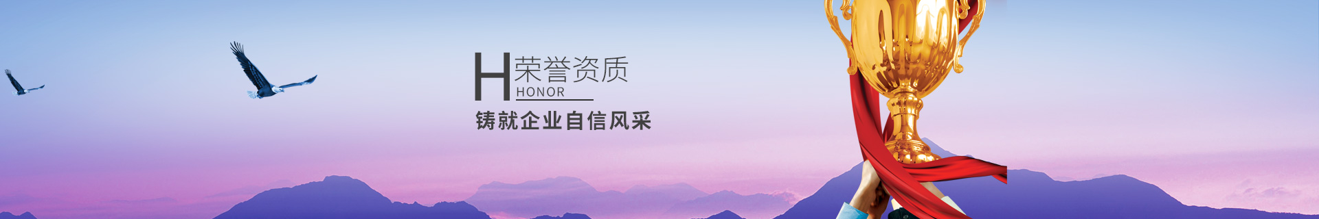 荣誉资质